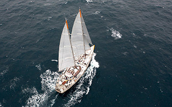 The schooner Tara is participating in the study of coastal ecosystems